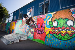 Lovenskate
