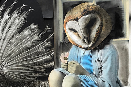 Wordpress Web Design, Artist Portfolio