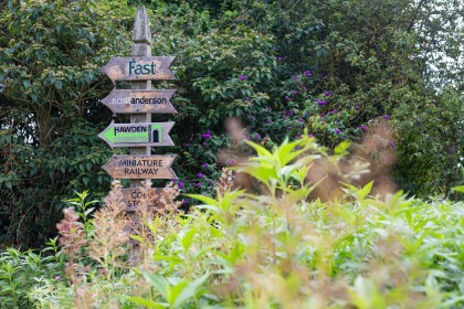 Brogdale Farm - Faversham, Kent