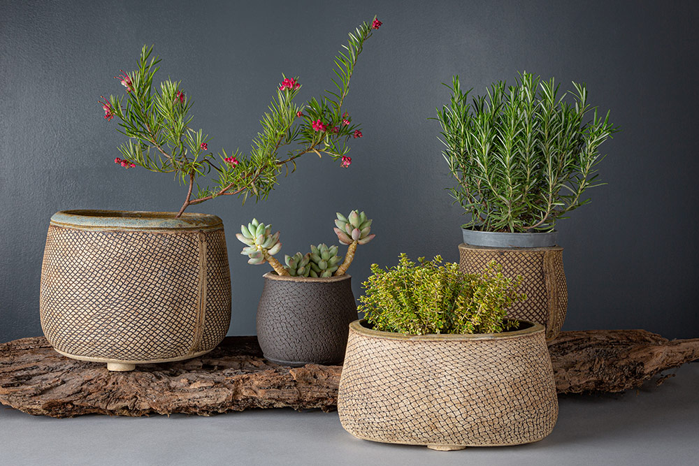 Rose Dickinson Ceramics – Product Photography