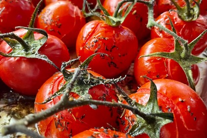 Food Photography for Gallery Kitchen Café Faversham, Kent