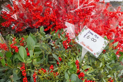 Faversham Christmas Market - Photography