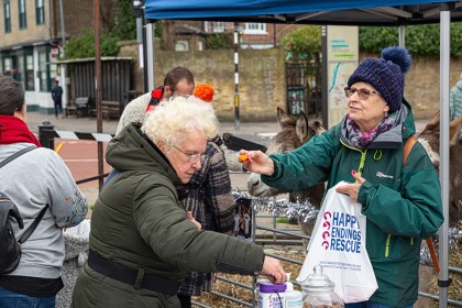Faversham Christmas Market - Photography
