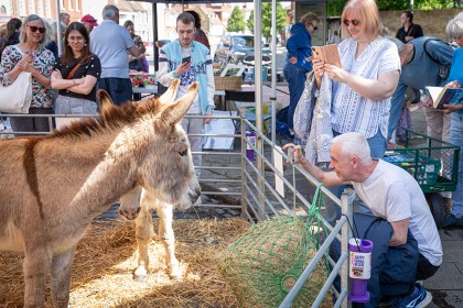 Faversham Millennium Market - Photography - Happy Endings Rescue 