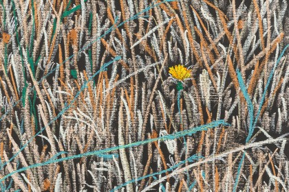 Rosemary McLeish - Artwork Photography