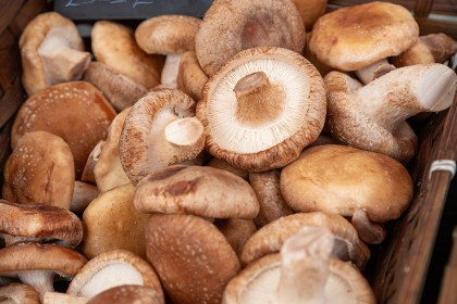 Valley Mushrooms & Gallery Kitchen Cafe - Faversham