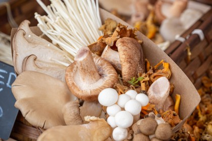 Valley Mushrooms & Gallery Kitchen Cafe - Faversham