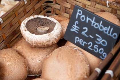 Web Design & Photography In Faversham Kent