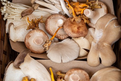Valley Mushrooms & Gallery Kitchen Cafe - Faversham
