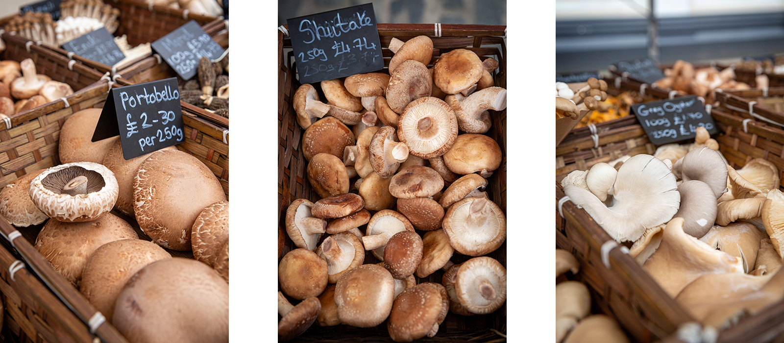 Valley Mushrooms & Gallery Kitchen Cafe – Faversham