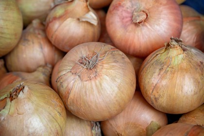 Faversham Market Fruit & Veg