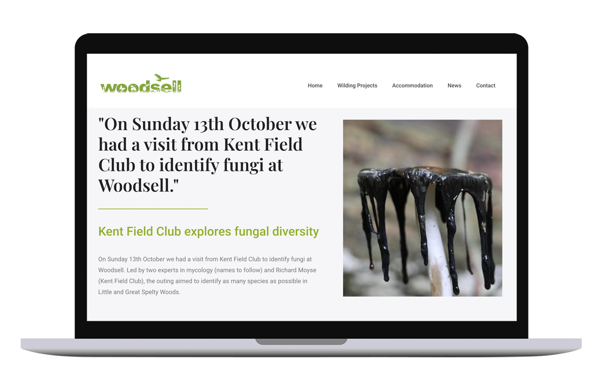 Woodsell Farm – Web Design and Photography
