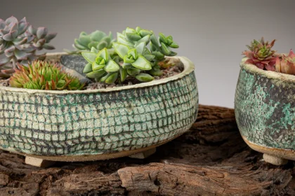 Rose Dickinson Ceramics - Artwork Photography Faversham