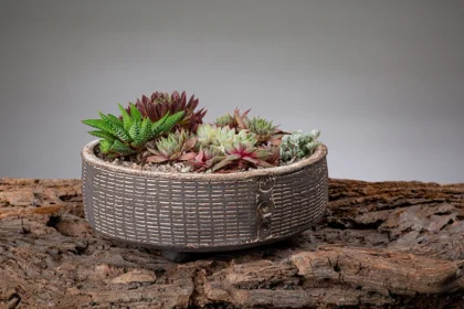 Rose Dickinson Ceramics - Artwork Photography Faversham